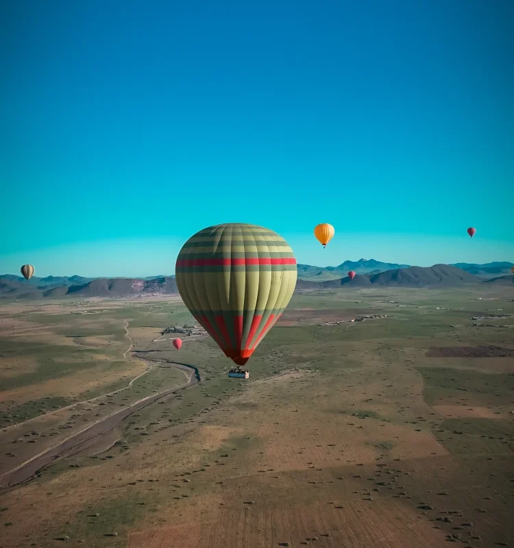 DJI_20260217082319_0163_D 2